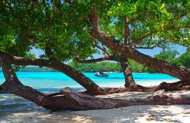 Barrier Beach Resort