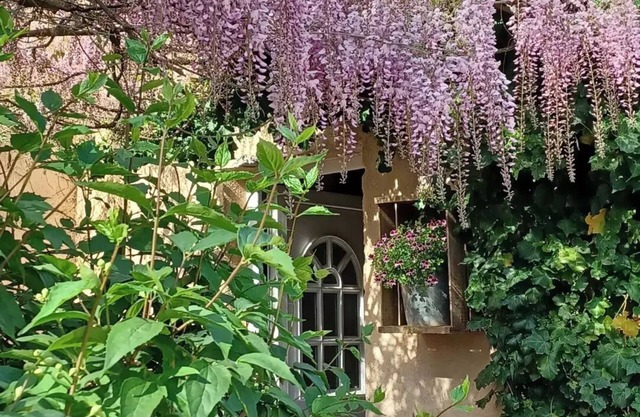Bastide Cedrea