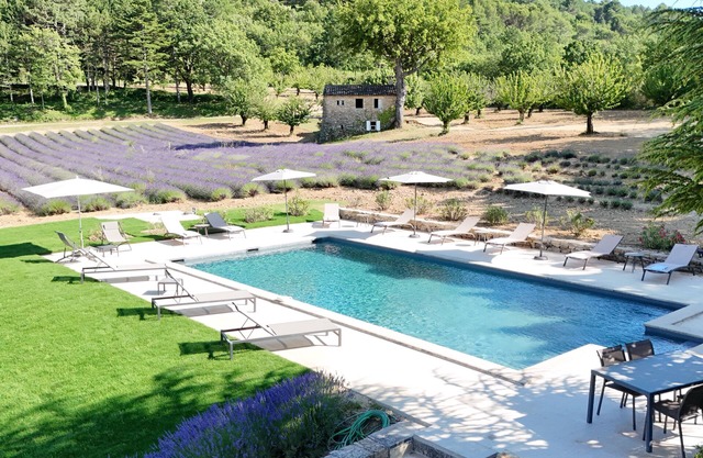 Bastide de l'Esclat - Piscine - Champs de Lavandes