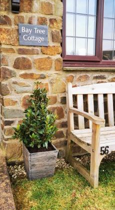 Bay Tree Cottage - cosy home near beach