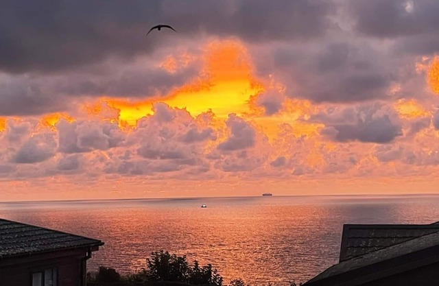 Bay View Luxury Lodge ( pet friendly )