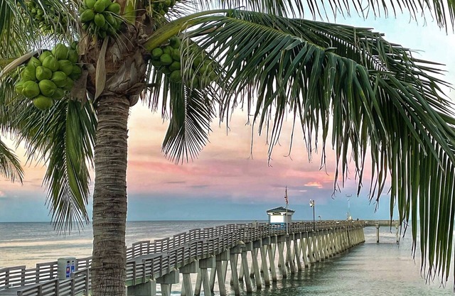 Bayfront Duplex Along Dona Bay, Great Views and Private Dock---Dogs Welcomed