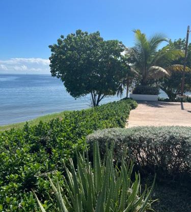 Bayfront Villa & Apartment