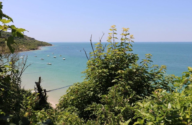 BAYTREE COTTAGE, Animaux acceptés, avec feu ouvert à Totland, Ref 990566