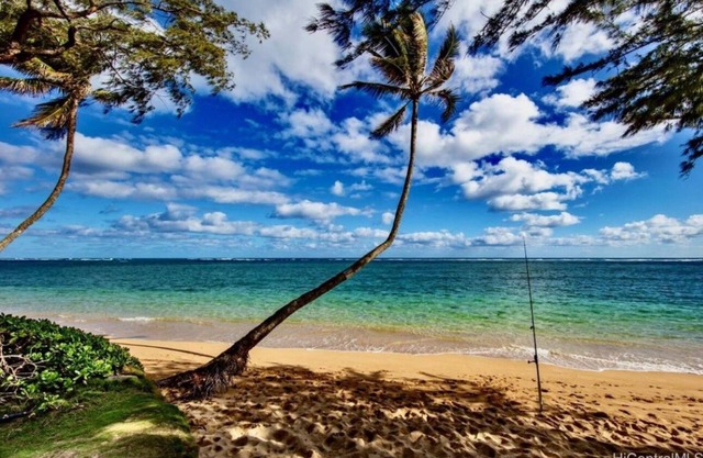 Beach Front Condo-Everything you can dream of for a Hawaiian getaway is here!