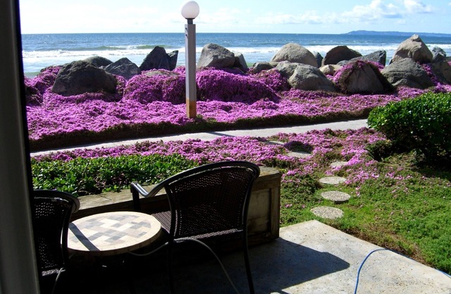 Beach Front Condo ~ Si proche de l'eau, vous pouvez le sentir ~ 30 + jour de réduction !!!