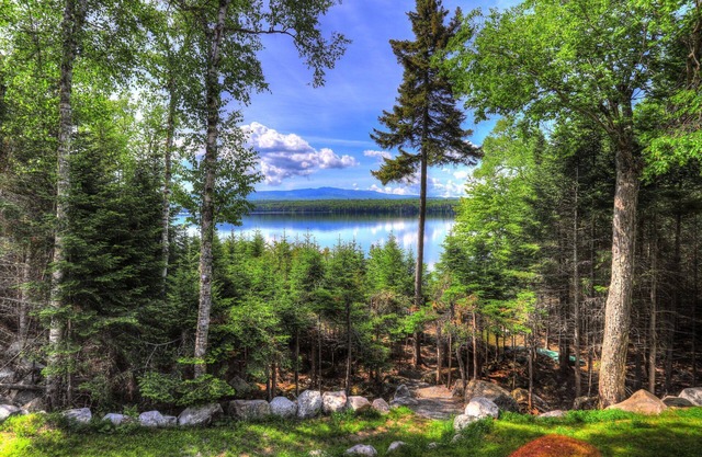 Beach Front Retreat - Maison privée sur le lac Mooselookmeguntic