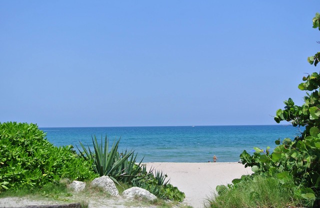 Beach House East of A1A, bain à remous privé, planches de surf, oasis en plein air