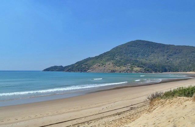 Tête de chapeau de maison de plage
