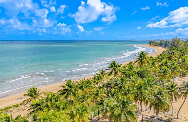 Sea Shore Living! Beach Front Remodeled Apartment.