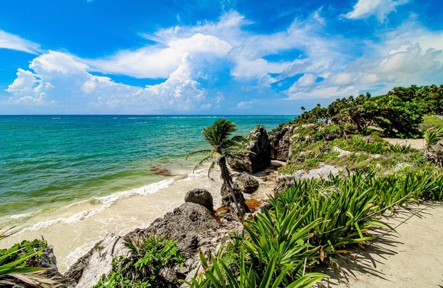 Beach-view apt on the beach with private pool, community pools, kitchenette, AC