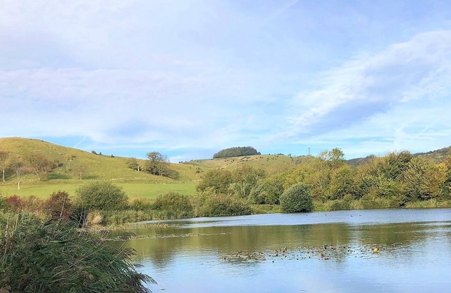 Beachborough Park