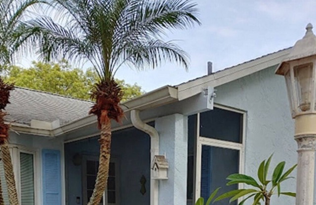 Serene, Cozy, Relaxing Bird Sanctuary Home Close to Clearwater, Fl