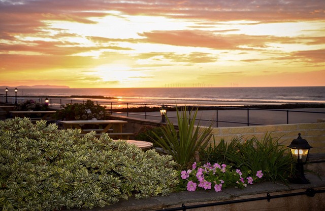 Beaches Chalets