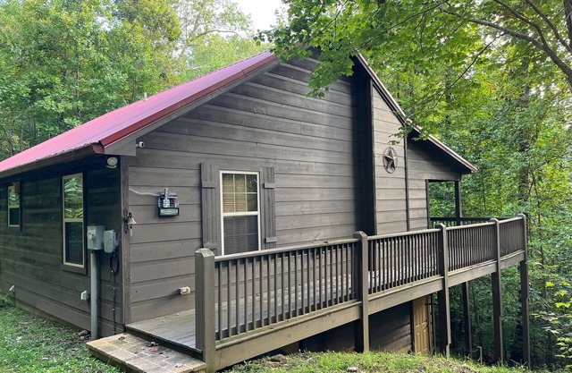 Bear Cub Cabin - Fireplace