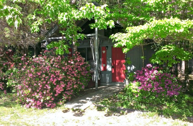 Bear Paw Cottage (# 5 Queen) Adorable; bain à remous; Animaux acceptés; 2 adultes / 2 enfants max