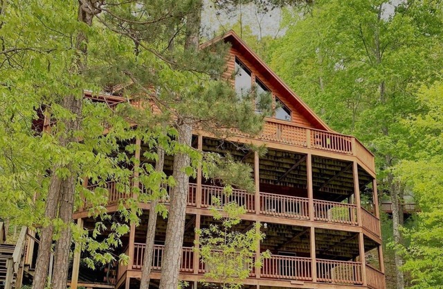 Bear Paw - Lake Hiwassee - Murphy, NC
