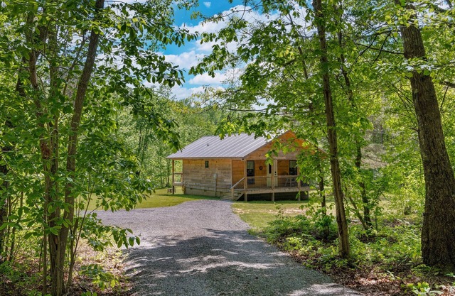 Bear's Den-centrally located w/hot tub & fire pit