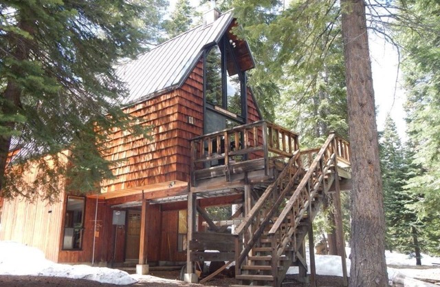 Bear Valley s'amuser dans les arbres