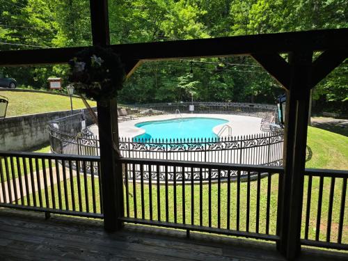 Bear View