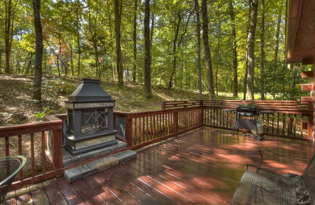 Bear Watch - Blue Ridge