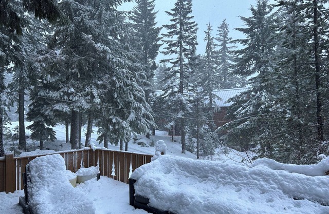 Bearcat Lodge - Gov't Camp Retreat @ Timberline