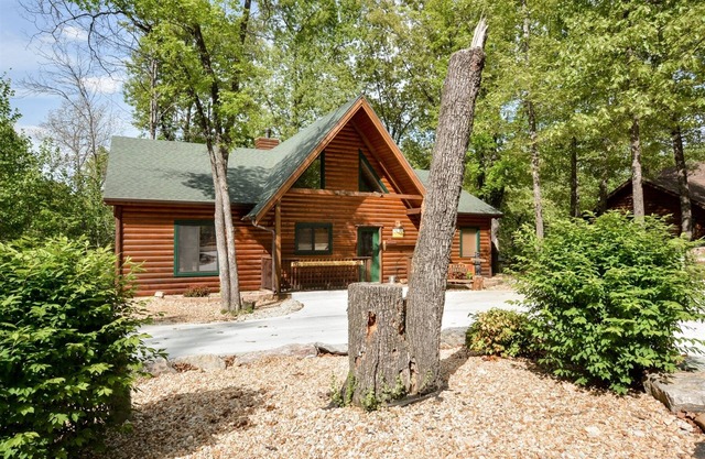Chaque nécessité dont vous avez besoin dans cette cabine Bearific