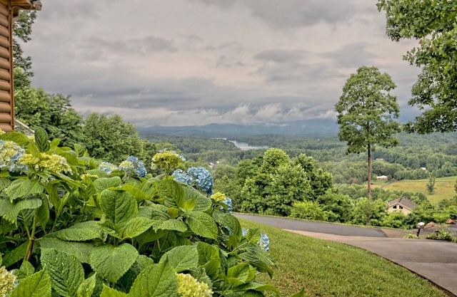 Bears Eye View Mountain Gem