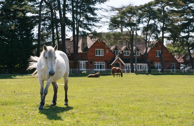 Beaulieu Hotel