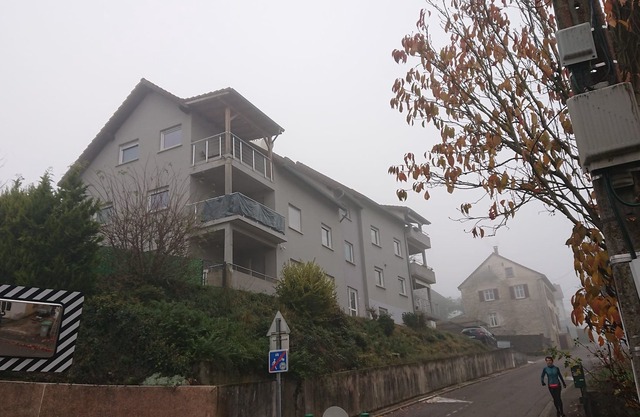 Bel appartement proche Sarrebruck/Sarreguemines
