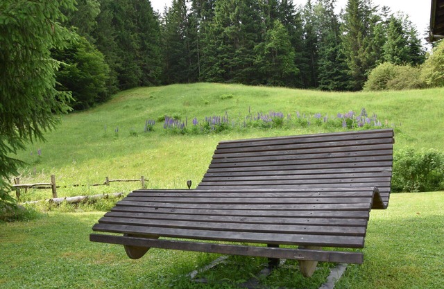 Beautiful apartment for 2 people with WIFI, TV, terrace, pets allowed and parking