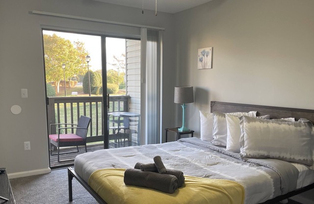 Beautiful Apartment in University City