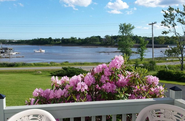 Belle vue sur la baie, maison loin de la maison