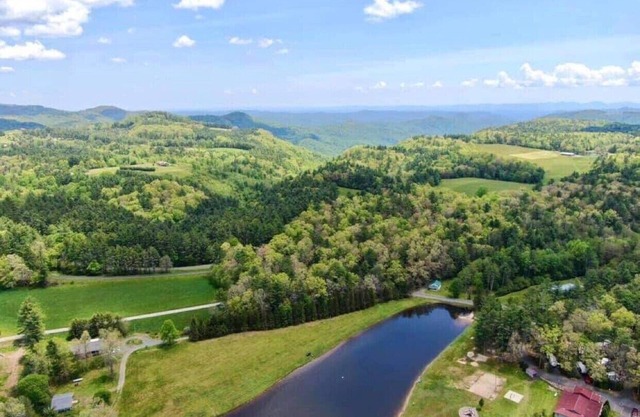 Belle cabane au coeur de Blue Ridge Parkway