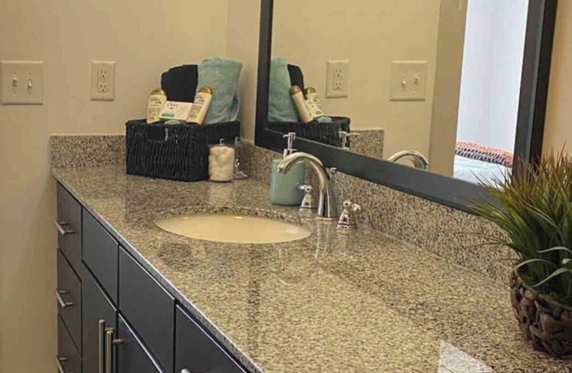 Beautiful Condo Downtown BHM