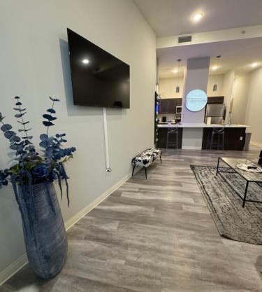 Beautiful Condo/Rooftop Patio With Free Parking