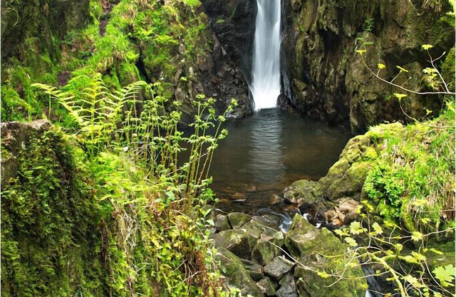 Beautiful Cottage, Spectacular Views - Pets Welcome, wifi, Sky, clos garden