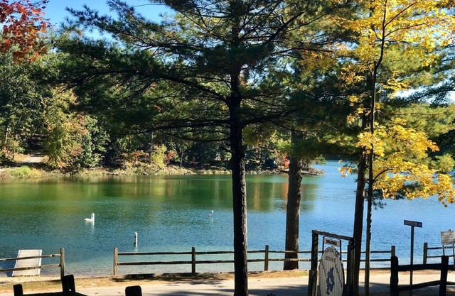 Beau chalet sur le lac Arbutus, Traverse City, MI 49696