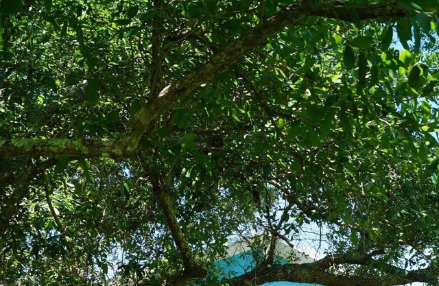 Beautiful country setting 15 min drive to the beach, close to Oyster Bay