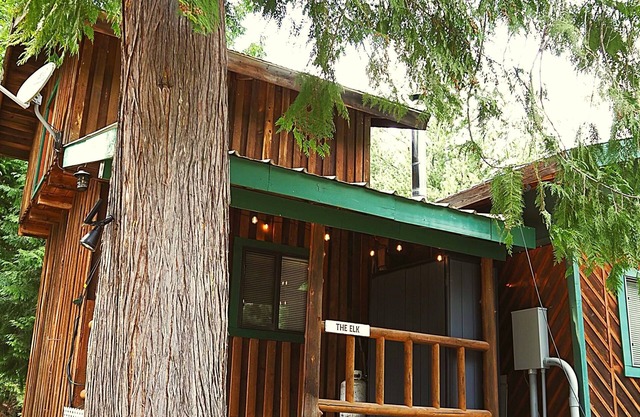 Beautiful custom built log cabin with AC, WiFi in private forest retreat