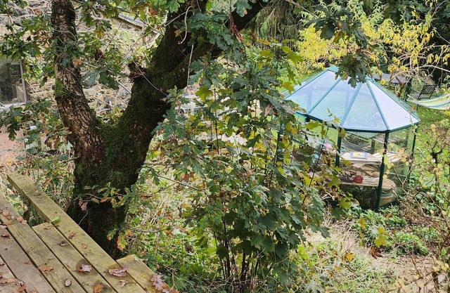 Beautiful Dartmoor cabin reasonable rent