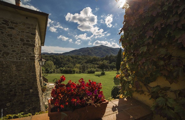 Belle Ferme Ca 'del Bosco à Lunigiana - Appartement Cipresso