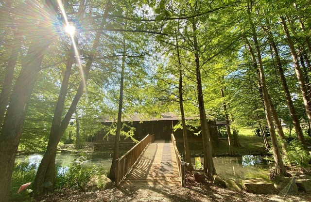 Rustic Retreat est un petit refuge amusant en ville!