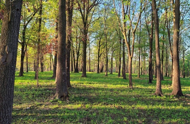 Beautiful home near Branson, MO & EurekaSprings, AR.