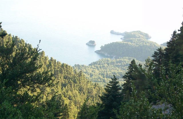 belle maison à l'intérieur de forrest avec vue sur la mer. paradis