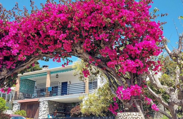 Belle maison avec jardin à 3 minutes de la plage