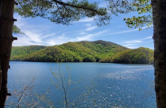 Belle Lake Nantahala Home-Lakefront avec vue imprenable-privé