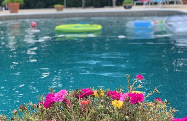 Ranch mi-siècle récemment rénové avec piscine!