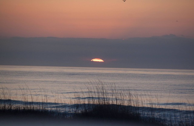 Belle vue sur la plage d'Ocean Isle; Excellents levers de soleil au Windjammer Condo