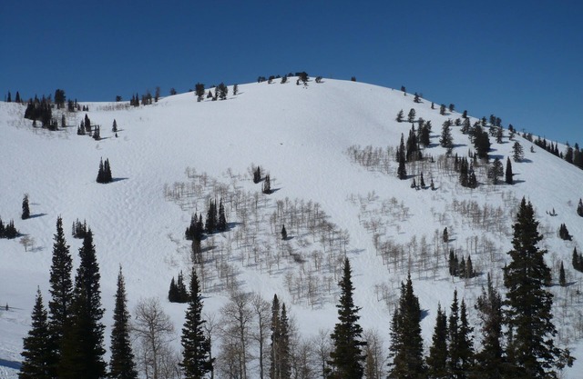 Belle Powder Ridge Resort (ski in / ski out) meilleure valeur dans l'Utah!